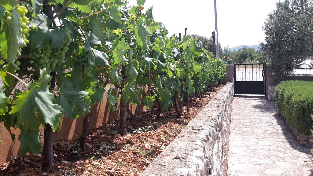 Amadrian Apartments Sibenik Luaran gambar