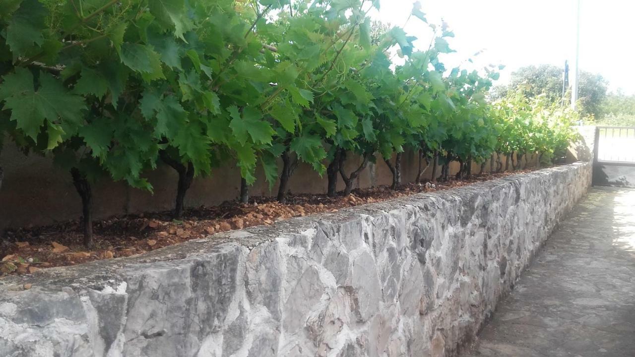 Amadrian Apartments Sibenik Luaran gambar